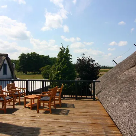 Strandanker In *